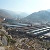 Aluminium of Greece