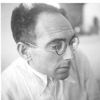 Erich Brauer