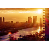Miamidream Properties