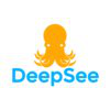 DeepSee Labs