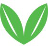 CLOVE (Startup)