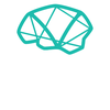 Vivid Genomics