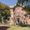 The Octagon House