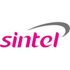 Sintel It Srl