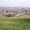 Whitehawk
