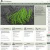Xenbase