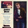 Rebel Without a Cause