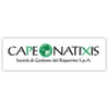 CAPE Natixis