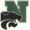 Novi High School