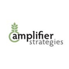 Amplifier Strategies
