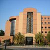 McKnight Brain Institute