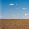 Gobi Desert