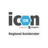 Icon Accelerator