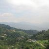 Envigado