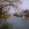 Inokashira Park