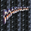 Magnum Shielding Corporation