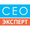 SEO Expert