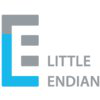 Little Endian
