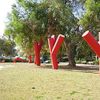 The Giving Tree