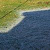 Frost