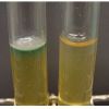 Microbial strain improvement