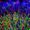 Progenitor cell