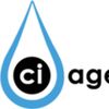 C.I.Agent Solutions