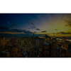 Trion Real Estate Management