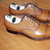 Re Shoe Lace Ltd