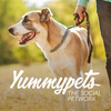 YummyPets