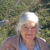 Etel Adnan