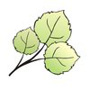 Osinka