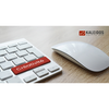 Kaleidos Agence Web