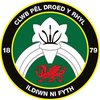 Rhyl F.C.