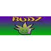 BUDZ MEDIA