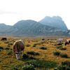 Campo Imperatore