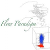 Flow Paradigm