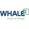 Whale Imaging
