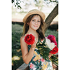 Stephanie Smith profile picture
