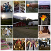 Greg Beaudoin's Farm