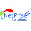 NetPrise Solutions