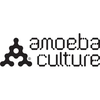 Amoeba Culture