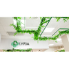 Lyfja