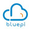 Bluepi consulting