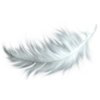 Feather Laundry