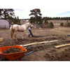 Dominical Farm
