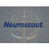 Neuroscout