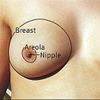 Breast