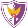Fenix Consulting