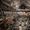 Pitt Rivers Museum
